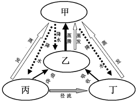 下图为“水循环联系四大圈层示意图”。读图完成各题。小题1:甲、乙、丙、丁所代表的圈层依次是A.大气圈、生物圈、岩石圈、水圈B.水圈、大气圈、生物圈、岩石圈C.岩 下图为“水循环联系四大圈层示意图”。读图完成各题。小题1:甲、乙、丙、丁所代表的圈层依次是A.大气圈、生物圈、岩石圈、水圈B.水圈、大气圈、生物圈、岩石圈C.岩