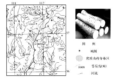 材料一山药学名薯蓣,地下根茎粗,直生,长可达1米,山药性喜光,宜在排水良好、疏松肥沃的土壤中生长,忌水涝。因其营养丰富 材料一山药学名薯蓣,地下根茎粗,直生,长可达1米,山药性喜光,宜在排水良好、疏松肥沃的土壤中生长,忌水涝。因其营养丰富