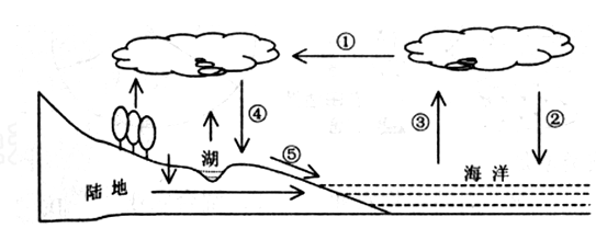 读下面水循环示意图,完成12-14题。小题1:图中环节①的名称是:A.蒸发B.水汽输送C.降水D.径流输送小题2:下列环节能形成水循环的一组是:A.①③B.②③ 读下面水循环示意图,完成12-14题。小题1:图中环节①的名称是:A.蒸发B.水汽输送C.降水D.径流输送小题2:下列环节能形成水循环的一组是:A.①③B.②③