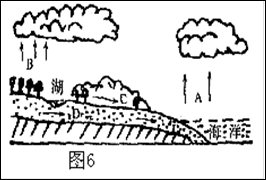读“水循环示意图”,回答下列问题图中水循环各环节的名称:A.B.C.D.图中缺少的水循环环节有、 、_。水循环的原动力是。 读“水循环示意图”,回答下列问题图中水循环各环节的名称:A.B.C.D.图中缺少的水循环环节有、 、_。水循环的原动力是。