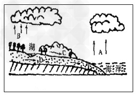 读“水循环示意图”,回答下列问题:图中水循环各环节的名称:A B C D 图中缺少的水循环环节有 、 读“水循环示意图”,回答下列问题:图中水循环各环节的名称:A B C D 图中缺少的水循环环节有 、