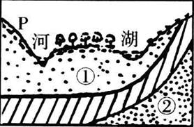 读南方某地剖面图,据此判断:1.雨季水位上升最快的水体是A.河 B.湖 C.① D.②2.有关图中水体的叙述,正确的是A.河流的主要补给来自地下水 B.①处可以 读南方某地剖面图,据此判断:1.雨季水位上升最快的水体是A.河 B.湖 C.① D.②2.有关图中水体的叙述,正确的是A.河流的主要补给来自地下水 B.①处可以