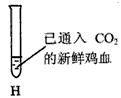 实验室利用下列实验装置制取氧气,根据要求回答下列问题: 在上图框中写出装置A中a和b的仪器名称。写出装置A中反应的化... 实验室利用下列实验装置制取氧气,根据要求回答下列问题: 在上图框中写出装置A中a和b的仪器名称。写出装置A中反应的化...