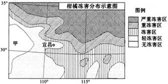 读下图,回答:指出图示区域柑橘冻害分布特点,分析甲地无冻害的原因。说出图中轻冻害区存在的主要环境问题。与图中严重冻害区同纬度的大陆西岸也种植柑 读下图,回答:指出图示区域柑橘冻害分布特点,分析甲地无冻害的原因。说出图中轻冻害区存在的主要环境问题。与图中严重冻害区同纬度的大陆西岸也种植柑