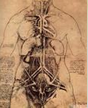 下图为达?芬奇在绘画、人体研究、人体解剖、机械、妇女生理研究等方面取得的成就。这些成就的取得从本质上说明达?芬奇 下图为达?芬奇在绘画、人体研究、人体解剖、机械、妇女生理研究等方面取得的成就。这些成就的取得从本质上说明达?芬奇