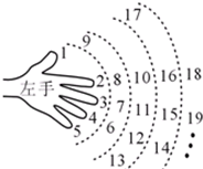 在小时候,我们就用手指练习过数数.一个小朋友按如图所示的规则练习数数,数到2009时对应的指头是. 魔方格