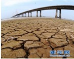 2011年上半年,长江中下游遭受百年一遇的大面积干旱,如图是岳阳洞庭湖大桥下裸露的湖床.为了缓解旱情,在一定的条件下,可通过人工降雨的方法向天要水,其中一种人工 魔方格