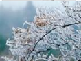 祖国的山河一年四季美景如画,下图中的描述属于液化的是A.春天,冰雪消融B.夏天,草叶上形成露珠C.秋天,枝头挂满白霜D.严冬,冰雕逐渐变小 魔方格