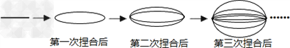 喜欢吃拉面吗?拉面馆的师傅,用一根很粗的面条,把两头捏合在一起拉伸,再捏合,再拉伸,反复几次,就把这根很粗的面条拉成了许多细的面条,如图所示,这样捏 喜欢吃拉面吗?拉面馆的师傅,用一根很粗的面条,把两头捏合在一起拉伸,再捏合,再拉伸,反复几次,就把这根很粗的面条拉成了许多细的面条,如图所示,这样捏