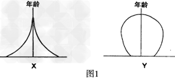 人口金字塔结构图是反映人口年龄和性别结构的示意图。横坐标表示各年龄组的人口在总人口中所占的百分比。中间的纵坐标表示人口年龄分组,左边表示男性人口 人口金字塔结构图是反映人口年龄和性别结构的示意图。横坐标表示各年龄组的人口在总人口中所占的百分比。中间的纵坐标表示人口年龄分组,左边表示男性人口