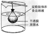 将10mL淀粉胶体和5mL氯化钠溶液混合后,放入用半透膜制成的袋内,将此袋浸入蒸馏水中(如下图所示)2min后,分别取袋内和烧杯内液体进行实验.下列说法正 将10mL淀粉胶体和5mL氯化钠溶液混合后,放入用半透膜制成的袋内,将此袋浸入蒸馏水中(如下图所示)2min后,分别取袋内和烧杯内液体进行实验.下列说法正