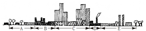 如图是“某城市中心的一条主要街道的景观图”,读图分析回答问题。小题1:商店和住宅位于A.D区和A、C区 B.A区和B、C区C.C区和A、E区 D.B区和E、D区 如图是“某城市中心的一条主要街道的景观图”,读图分析回答问题。小题1:商店和住宅位于A.D区和A、C区 B.A区和B、C区C.C区和A、E区 D.B区和E、D区