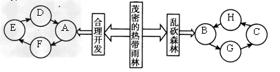 阅读下列材料及示意图,完成各题:亚马孙河流域覆盖着地球上面积最大的热带雨林,其中60%在巴西境内。但是目前这块关系到全球生态环境的广阔森林正 阅读下列材料及示意图,完成各题:亚马孙河流域覆盖着地球上面积最大的热带雨林,其中60%在巴西境内。但是目前这块关系到全球生态环境的广阔森林正