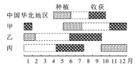 玉米是世界重要的农产品之一,下图示意中国、印度、南非和巴西四国的部分地区玉米种植、收获生产活动的时段。读图,回答题。甲、乙、丙分别位于A.巴西、印度、南非B.南 玉米是世界重要的农产品之一,下图示意中国、印度、南非和巴西四国的部分地区玉米种植、收获生产活动的时段。读图,回答题。甲、乙、丙分别位于A.巴西、印度、南非B.南