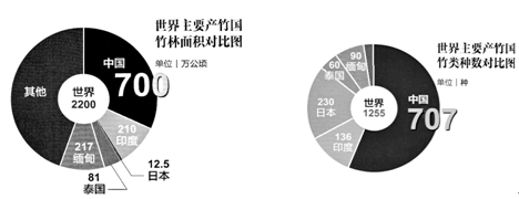 竹是草本植物,禾本科的一个分支,为常绿多年生植物,春日生笋,质地坚硬,种类很多,可入菜,倍受中国人民喜爱。可制器物,又可做建筑材料,制作竹编(用竹篾编 竹是草本植物,禾本科的一个分支,为常绿多年生植物,春日生笋,质地坚硬,种类很多,可入菜,倍受中国人民喜爱。可制器物,又可做建筑材料,制作竹编(用竹篾编