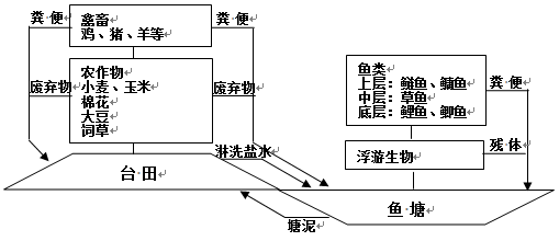 下图为我国东部某省针对地势低洼积水区开发的一种农业生产模式。读图回答下列小题。小题1:该农业生产模式,将A.因地制宜,减轻盐碱B.降低区域整体海拔C.减轻农民劳 下图为我国东部某省针对地势低洼积水区开发的一种农业生产模式。读图回答下列小题。小题1:该农业生产模式,将A.因地制宜,减轻盐碱B.降低区域整体海拔C.减轻农民劳