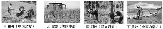 该图为四幅农业景观图,读图回答问题。小题1:形成四个地区农业生产方式差异的主要自然因素是 ( )A.气候B.地形C.土壤D.水源小题2:下列关于四个地区生产特 该图为四幅农业景观图,读图回答问题。小题1:形成四个地区农业生产方式差异的主要自然因素是 ( )A.气候B.地形C.土壤D.水源小题2:下列关于四个地区生产特