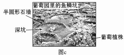 2013年12月广州恒大足球俱乐部代表亚洲参加在北非国家摩洛哥举行的世俱杯,这是中国球队首次参加此项赛事。材 2013年12月广州恒大足球俱乐部代表亚洲参加在北非国家摩洛哥举行的世俱杯,这是中国球队首次参加此项赛事。材