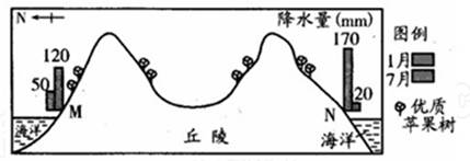下图为“某半岛剖面示意图”。读图完成下列各题。小题1:优质苹果在山谷中的分布及原因,正确的是A.主要分布在谷底。水热丰富,土壤肥沃;气温日较差大,有利于糖分积累 下图为“某半岛剖面示意图”。读图完成下列各题。小题1:优质苹果在山谷中的分布及原因,正确的是A.主要分布在谷底。水热丰富,土壤肥沃;气温日较差大,有利于糖分积累