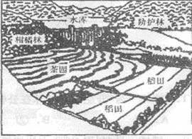 该图为我国某地区农业生产景观图。据图完成问题。小题1:根据图中信息判断,图示地区位于我国的A.黄土高原B.山东丘陵C.江南丘陵D.长江中下游平原小题2:由自然条 该图为我国某地区农业生产景观图。据图完成问题。小题1:根据图中信息判断,图示地区位于我国的A.黄土高原B.山东丘陵C.江南丘陵D.长江中下游平原小题2:由自然条