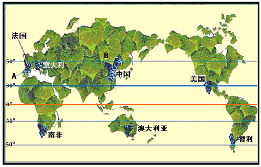 材料一:优质葡萄对产地的要求较高:微酸或微碱性沙砾质土壤,气候温暖,光照时间长。生长初期的冬、春季雨水多,而成熟期时需干旱少雨 材料一:优质葡萄对产地的要求较高:微酸或微碱性沙砾质土壤,气候温暖,光照时间长。生长初期的冬、春季雨水多,而成熟期时需干旱少雨