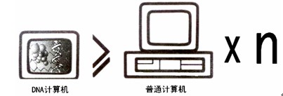 DNA计算机刘颂豪等 ①DNA计算机是一种生物形式的计算机。遗传物质DNA DNA计算机刘颂豪等 ①DNA计算机是一种生物形式的计算机。遗传物质DNA