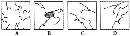 下列示意图能够正确反映亚洲河流流向的是 下列示意图能够正确反映亚洲河流流向的是