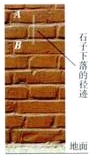 有一种“傻瓜”相机的曝光时间是固定不变的.为了估测相机的曝光时间,有位同学提出了下述实验方案:他从墙面前某点,使一个小石子自由落下,对小石子照相得到如图的照片,