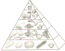 试题:七年级生物考点:合理营养和食品安全 试题:七年级生物考点:合理营养和食品安全