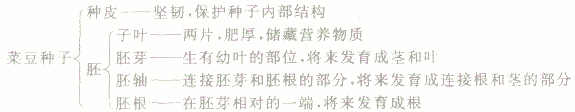 试题:生物考点:种子植物的结构和功能 试题:生物考点:种子植物的结构和功能