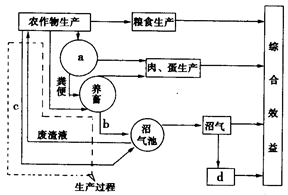 该图是我国某地生态农业系统图。读图,回答13~14题。小题1:图中各字母代表的含义,正确的是①a一粮食 ②b一养禽 ③c一秸秆④d一发电A.①②B.①③C.②④ 该图是我国某地生态农业系统图。读图,回答13~14题。小题1:图中各字母代表的含义,正确的是①a一粮食 ②b一养禽 ③c一秸秆④d一发电A.①②B.①③C.②④