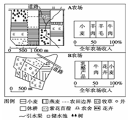 下图是农场A和农场B的有关资料,仔细小题1:两农场农业生产地域类型均属于:A.商品谷物农业B.水稻种植业C.混合农业D.乳畜业小题2:该 下图是农场A和农场B的有关资料,仔细小题1:两农场农业生产地域类型均属于:A.商品谷物农业B.水稻种植业C.混合农业D.乳畜业小题2:该