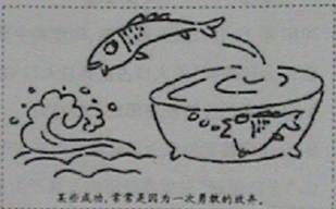 漫画给我们的哲学启示是A.把握事物的联系,利用客观规律B.坚持实践的观点,重视直接经验C.发挥主观能动性,探究事物本质D.坚持辩证否定观,树立创新意识 漫画给我们的哲学启示是A.把握事物的联系,利用客观规律B.坚持实践的观点,重视直接经验C.发挥主观能动性,探究事物本质D.坚持辩证否定观,树立创新意识