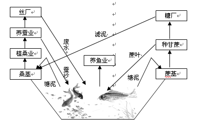 读“基塘生产环节的联系”示意图,回答下列问题。珠三角农民充分利用自然条件,在_____________的地方挖地成塘,堆泥成基。基塘农业的 读“基塘生产环节的联系”示意图,回答下列问题。珠三角农民充分利用自然条件,在_____________的地方挖地成塘,堆泥成基。基塘农业的