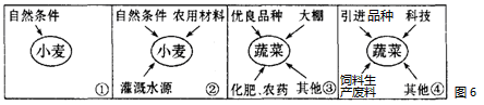 图6表示某地农业生产投入的变化过程,读图回答。小题1:影响该地区农业地域类型变化的主要因素是A.自然条件的变化B.市场需求的变化C.科学技术的发展 D.国家政策 图6表示某地农业生产投入的变化过程,读图回答。小题1:影响该地区农业地域类型变化的主要因素是A.自然条件的变化B.市场需求的变化C.科学技术的发展 D.国家政策