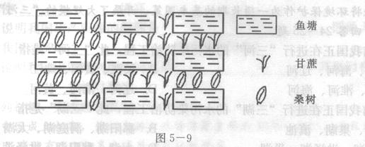 读图5—9“我国某地区土地利用”,回答4题小题1:下列说法正确的是A.从生产对象看,该地区的农业地域类型是商品农业B.从投入产出看,该农业属于混合农业C.从生态 读图5—9“我国某地区土地利用”,回答4题小题1:下列说法正确的是A.从生产对象看,该地区的农业地域类型是商品农业B.从投入产出看,该农业属于混合农业C.从生态