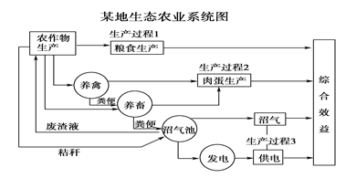 读下面“我国某地生态农业系统图”及“该地农产品占农业总产值的比重表”,分析回答下列问题。(12分)该地农产品占农业总产值的比重表农产品玉米蔬菜苹果乳、肉、蛋占农 读下面“我国某地生态农业系统图”及“该地农产品占农业总产值的比重表”,分析回答下列问题。(12分)该地农产品占农业总产值的比重表农产品玉米蔬菜苹果乳、肉、蛋占农
