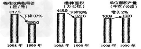 读“我国1998-1999 年棉花价格与棉花生产关系图”。完成1 ~2 题。1.导致我同1998-1999年棉花播种面积下降的直接原因是 读“我国1998-1999 年棉花价格与棉花生产关系图”。完成1 ~2 题。1.导致我同1998-1999年棉花播种面积下降的直接原因是