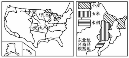 材料1:美国和中国东北地区农业分布示意图材料2:玉米是世界上分布最广泛的粮食作物之一,从北纬58°到南纬35°~40°之 材料1:美国和中国东北地区农业分布示意图材料2:玉米是世界上分布最广泛的粮食作物之一,从北纬58°到南纬35°~40°之
