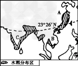读下图,回答问题。写出水稻主要分布区的名称:A、____________ B、___________ C、__________。( 读下图,回答问题。写出水稻主要分布区的名称:A、____________ B、___________ C、__________。(