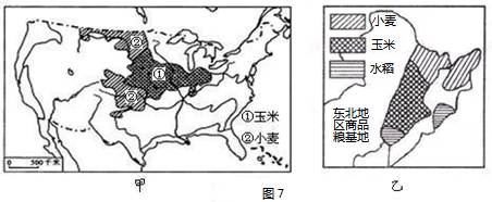 图7为“美国和中国东北部分农业区分布示意图”,读图完成。小题1:甲、乙两幅图中的农业区所属的农业地域类型是A.水稻种植业B.商品谷物农业C.大牧场放牧业D.混合 图7为“美国和中国东北部分农业区分布示意图”,读图完成。小题1:甲、乙两幅图中的农业区所属的农业地域类型是A.水稻种植业B.商品谷物农业C.大牧场放牧业D.混合