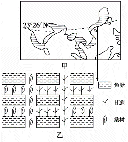 甲图中阴影表示水稻种植业的主要分布范围,乙图表示甲图中相应区域的农业生产状况,回答2一3题。小题1:关于水稻种植业的叙述,正确的是A.主要分布在西亚和中亚B.主 甲图中阴影表示水稻种植业的主要分布范围,乙图表示甲图中相应区域的农业生产状况,回答2一3题。小题1:关于水稻种植业的叙述,正确的是A.主要分布在西亚和中亚B.主