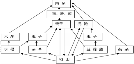 材料一见下图材料二见下表材料三见下表材料四 C国南部岛屿某县的一个农场发展模式图。B 国农民人均生产粮食最多,其主要原因是____ 材料一见下图材料二见下表材料三见下表材料四 C国南部岛屿某县的一个农场发展模式图。B 国农民人均生产粮食最多,其主要原因是____