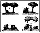下面漫画给我们的哲学启示是( )A.要用创新意识推动事物的发展B.运动是绝对的,万事万物都在运动C.规律不能被创造,也不能被消灭D.要用联系和发展的观点观察和 下面漫画给我们的哲学启示是( )A.要用创新意识推动事物的发展B.运动是绝对的,万事万物都在运动C.规律不能被创造,也不能被消灭D.要用联系和发展的观点观察和
