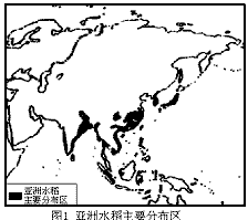材料1: 2001年2月19日国家科学技术奖励大会在北京举行。中共中央、国务院授予袁隆平院士2000年度国家最高科学技术奖, 材料1: 2001年2月19日国家科学技术奖励大会在北京举行。中共中央、国务院授予袁隆平院士2000年度国家最高科学技术奖,