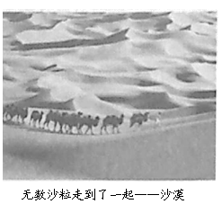 观察下图,符合图中寓意的是A.和实生物,同则不继B.合抱之木,生于毫末C.天下之至柔,驰骋天下之至坚D.古今异俗,新故异备 观察下图,符合图中寓意的是A.和实生物,同则不继B.合抱之木,生于毫末C.天下之至柔,驰骋天下之至坚D.古今异俗,新故异备