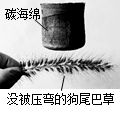 世界上最轻固态材料,在浙大诞生,如图所示,实验室昵称它为“碳海绵”。检测结果显示“碳海绵”还有超强的储电能力;对有机溶剂具有超快、超高的吸附力,是已报道的吸油力 世界上最轻固态材料,在浙大诞生,如图所示,实验室昵称它为“碳海绵”。检测结果显示“碳海绵”还有超强的储电能力;对有机溶剂具有超快、超高的吸附力,是已报道的吸油力