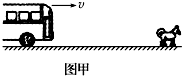 一辆汽车正在以v=20m/s的速度匀速行驶.突然,司机看见车的正前方x=33m处有一只狗,如图甲所示,若从司机看见狗开始计时,司机采取了一系列动作.整