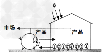 盐湖区某村春、夏季节生产粮食,秋、冬季节利用塑料大棚生产蔬菜,同时开办养猪场,各项收入都占一定比重。读下图,回答1~2题。1.该村的农业 盐湖区某村春、夏季节生产粮食,秋、冬季节利用塑料大棚生产蔬菜,同时开办养猪场,各项收入都占一定比重。读下图,回答1~2题。1.该村的农业