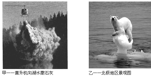 下面甲乙两图分别反映了不同的环境问题,对两图叙述正确的是A.甲图反映的环境问题可能是水体富营养化B.乙图反映的环境问题可能是酸雨C.甲图的环境问题可能是工业废水 下面甲乙两图分别反映了不同的环境问题,对两图叙述正确的是A.甲图反映的环境问题可能是水体富营养化B.乙图反映的环境问题可能是酸雨C.甲图的环境问题可能是工业废水